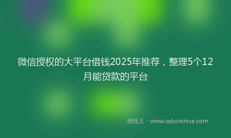 微信授权的大平台借钱2025年推荐，整理5个12月能贷款的平台