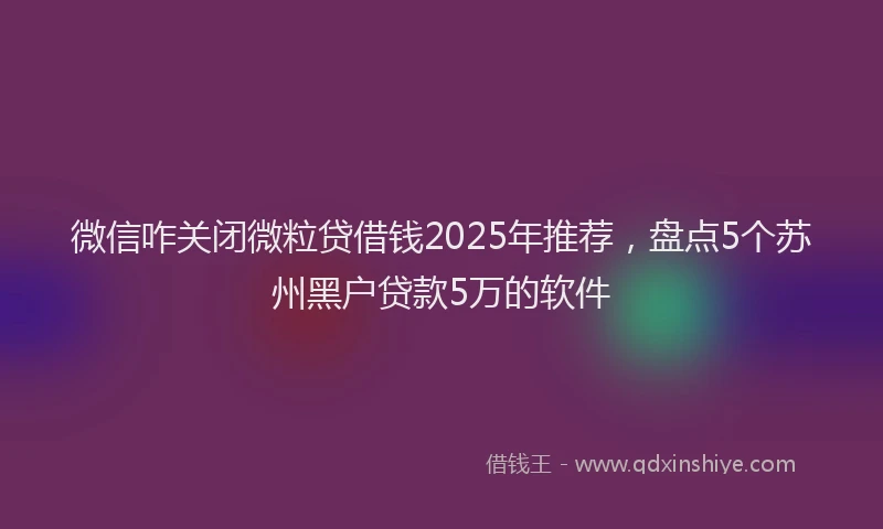 微信咋关闭微粒贷借钱2025年推荐，盘点5个苏州黑户贷款5万的软件