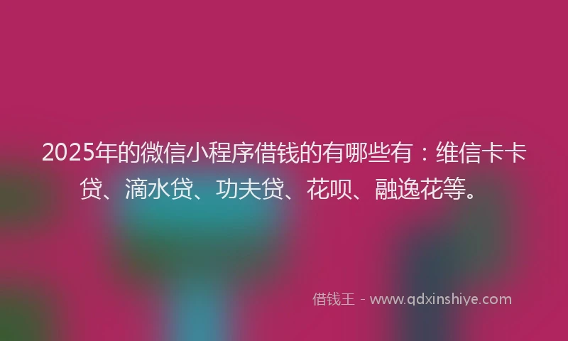2025年的微信小程序借钱的有哪些有：维信卡卡贷、滴水贷、功夫贷、花呗、融逸花等。