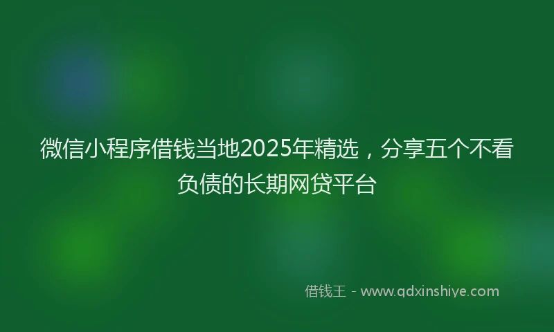 微信小程序借钱当地2025年精选，分享五个不看负债的长期网贷平台
