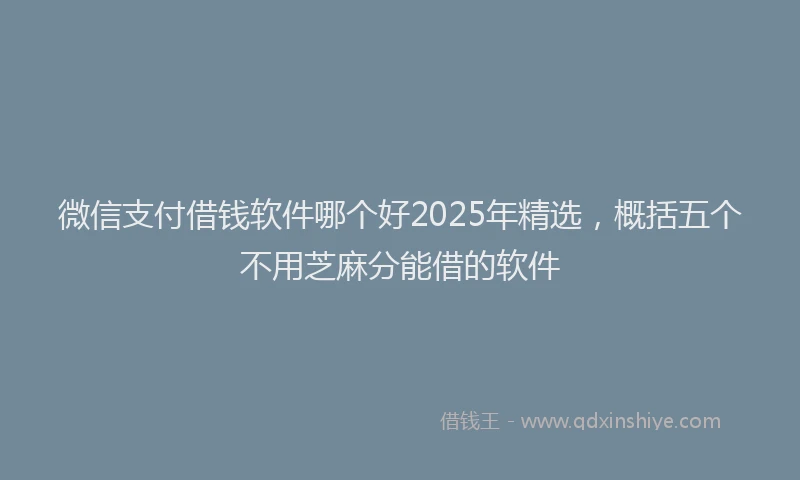 微信支付借钱软件哪个好2025年精选，概括五个不用芝麻分能借的软件