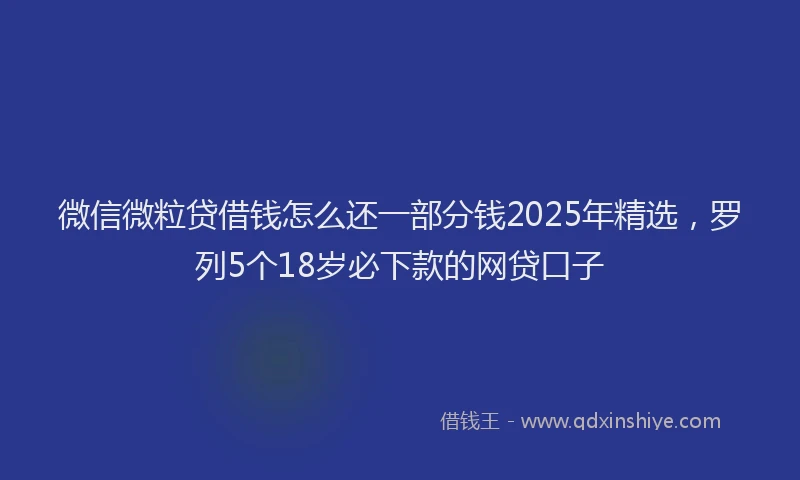 微信微粒贷借钱怎么还一部分钱2025年精选，罗列5个18岁必下款的网贷口子