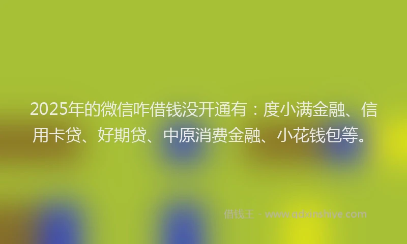 2025年的微信咋借钱没开通有：度小满金融、信用卡贷、好期贷、中原消费金融、小花钱包等。