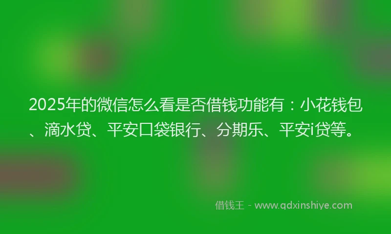 2025年的微信怎么看是否借钱功能有：小花钱包、滴水贷、平安口袋银行、分期乐、平安i贷等。