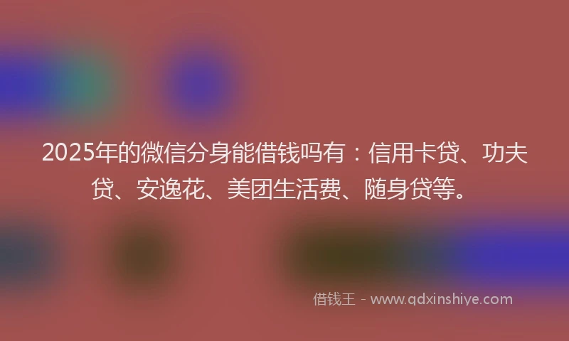2025年的微信分身能借钱吗有：信用卡贷、功夫贷、安逸花、美团生活费、随身贷等。