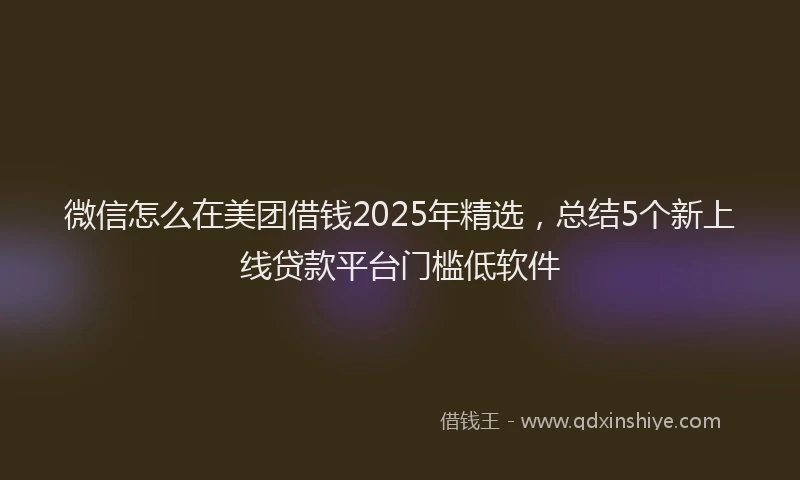 微信怎么在美团借钱2025年精选，总结5个新上线贷款平台门槛低软件