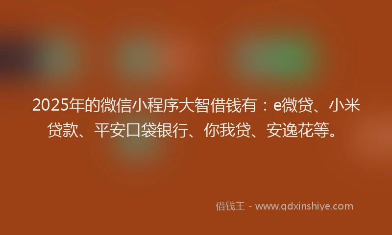 2025年的微信小程序大智借钱有：e微贷、小米贷款、平安口袋银行、你我贷、安逸花等。