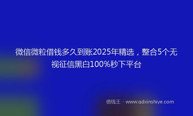 微信微粒借钱多久到账2025年精选，整合5个无视征信黑白100%秒下平台