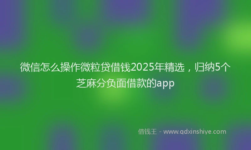 微信怎么操作微粒贷借钱2025年精选，归纳5个芝麻分负面借款的app