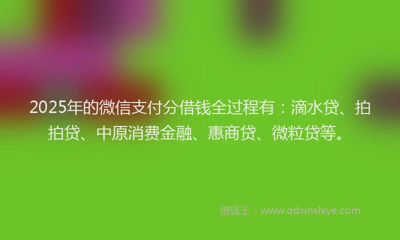 2025年的微信支付分借钱全过程有：滴水贷、拍拍贷、中原消费金融、惠商贷、微粒贷等。