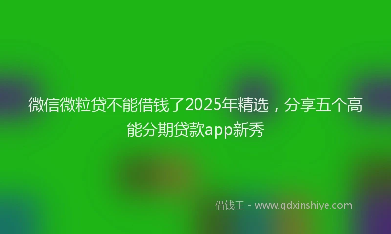 微信微粒贷不能借钱了2025年精选，分享五个高能分期贷款app新秀
