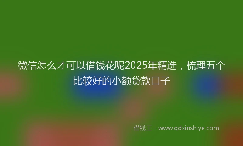 微信怎么才可以借钱花呢2025年精选，梳理五个比较好的小额贷款口子