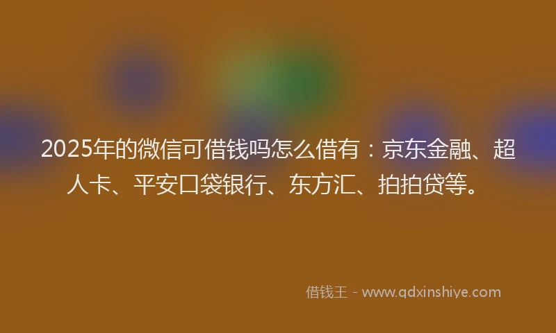 2025年的微信可借钱吗怎么借有：京东金融、超人卡、平安口袋银行、东方汇、拍拍贷等。