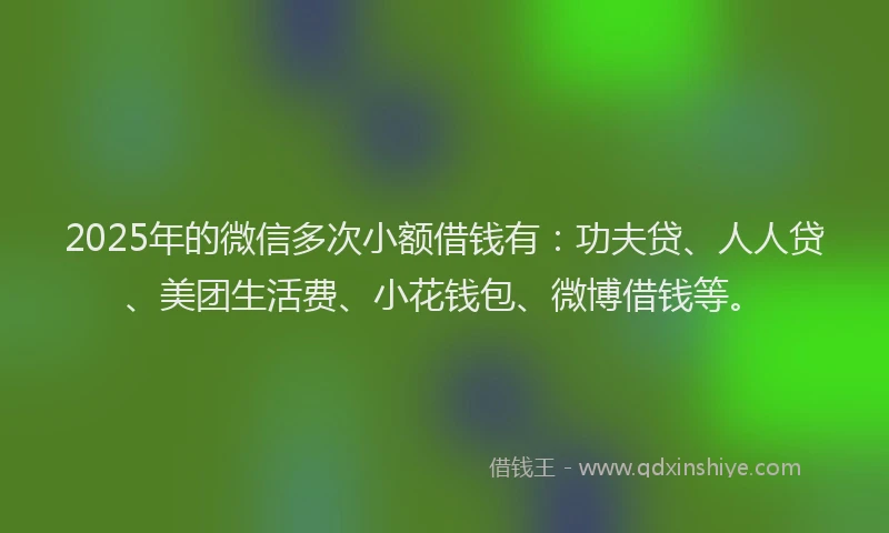 2025年的微信多次小额借钱有：功夫贷、人人贷、美团生活费、小花钱包、微博借钱等。