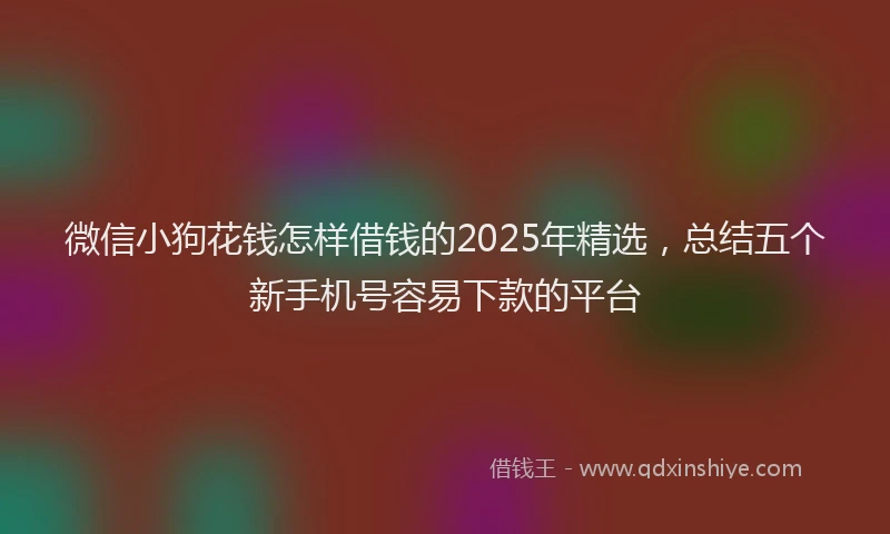 微信小狗花钱怎样借钱的2025年精选，总结五个新手机号容易下款的平台