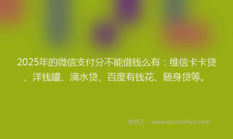 2025年的微信支付分不能借钱么有：维信卡卡贷、洋钱罐、滴水贷、百度有钱花、随身贷等。
