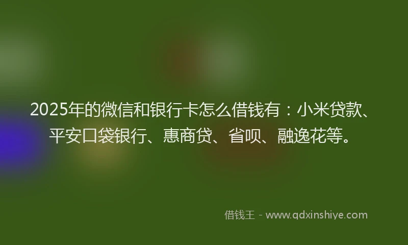 2025年的微信和银行卡怎么借钱有：小米贷款、平安口袋银行、惠商贷、省呗、融逸花等。