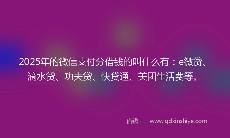 2025年的微信支付分借钱的叫什么有：e微贷、滴水贷、功夫贷、快贷通、美团生活费等。