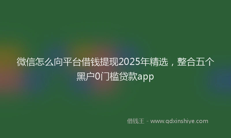 微信怎么向平台借钱提现2025年精选，整合五个黑户0门槛贷款app