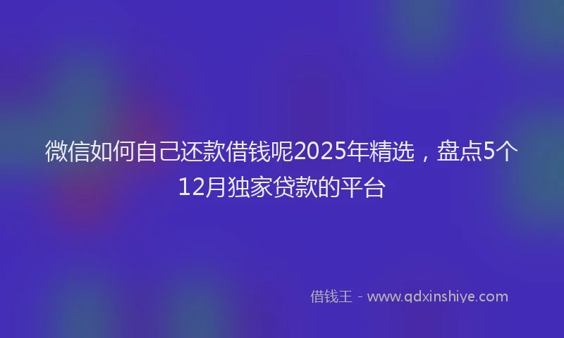 微信如何自己还款借钱呢2025年精选，盘点5个12月独家贷款的平台