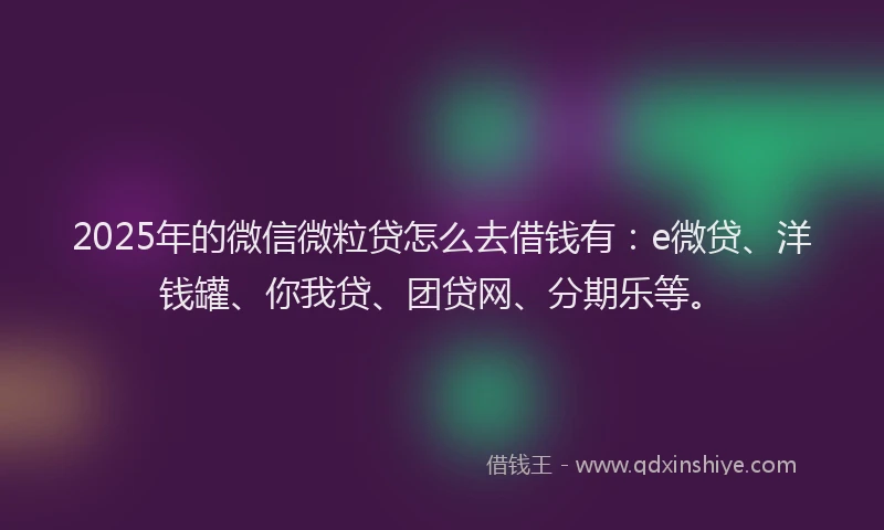 2025年的微信微粒贷怎么去借钱有：e微贷、洋钱罐、你我贷、团贷网、分期乐等。
