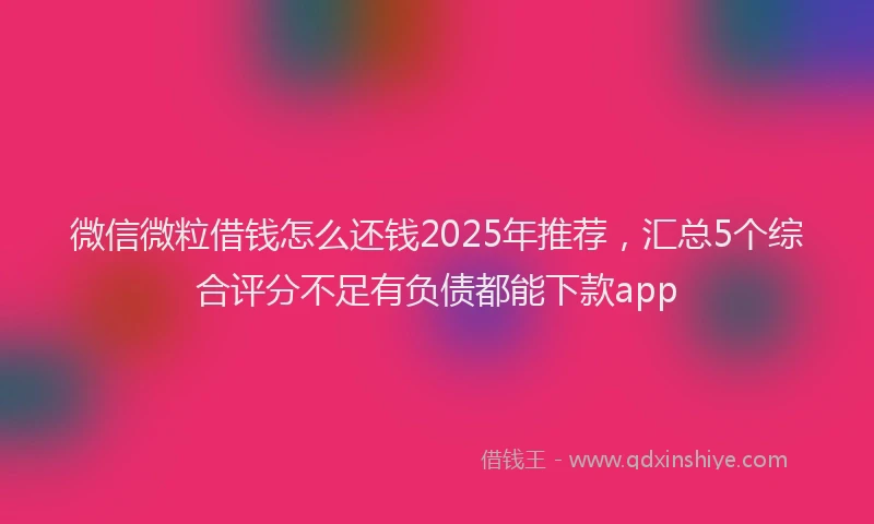 微信微粒借钱怎么还钱2025年推荐，汇总5个综合评分不足有负债都能下款app