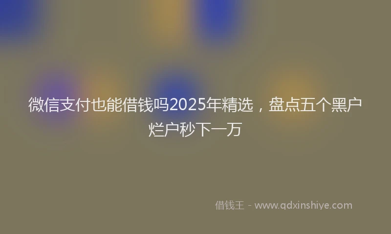 微信支付也能借钱吗2025年精选，盘点五个黑户烂户秒下一万