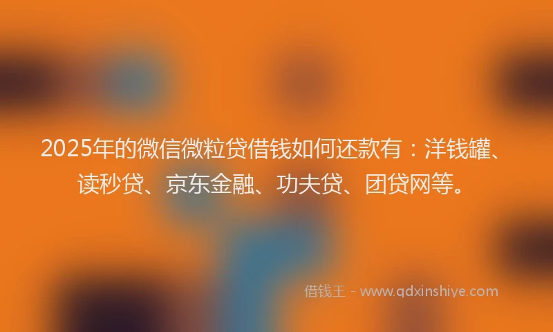 2025年的微信微粒贷借钱如何还款有：洋钱罐、读秒贷、京东金融、功夫贷、团贷网等。
