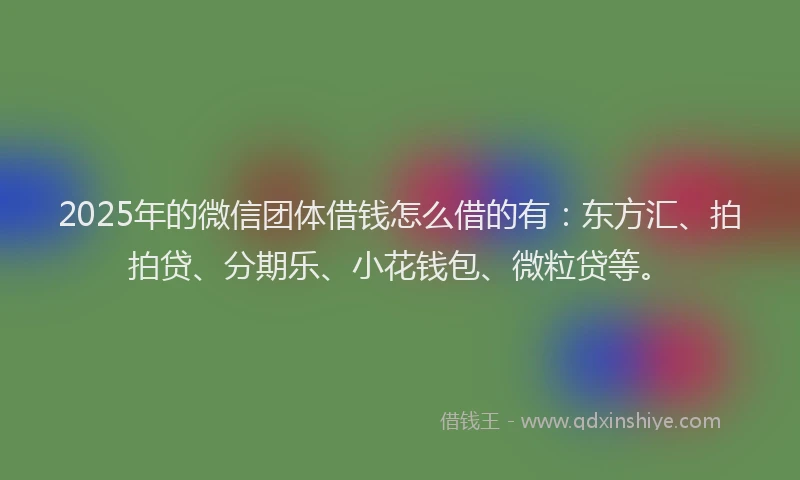 2025年的微信团体借钱怎么借的有：东方汇、拍拍贷、分期乐、小花钱包、微粒贷等。