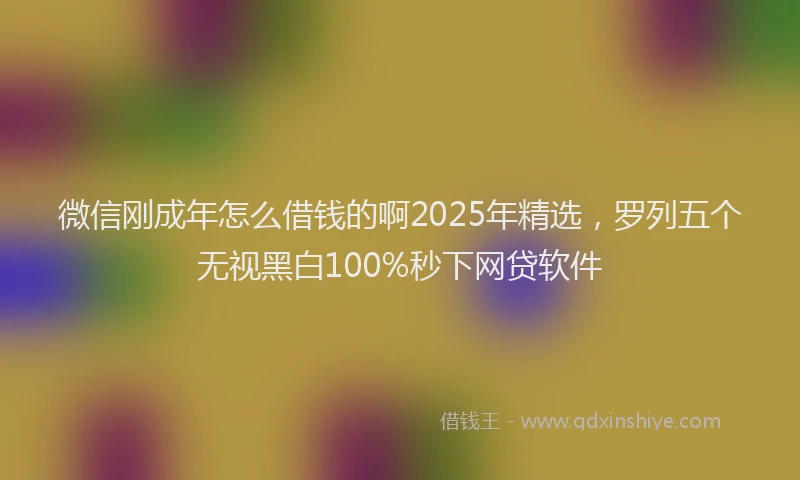 微信刚成年怎么借钱的啊2025年精选，罗列五个无视黑白100%秒下网贷软件