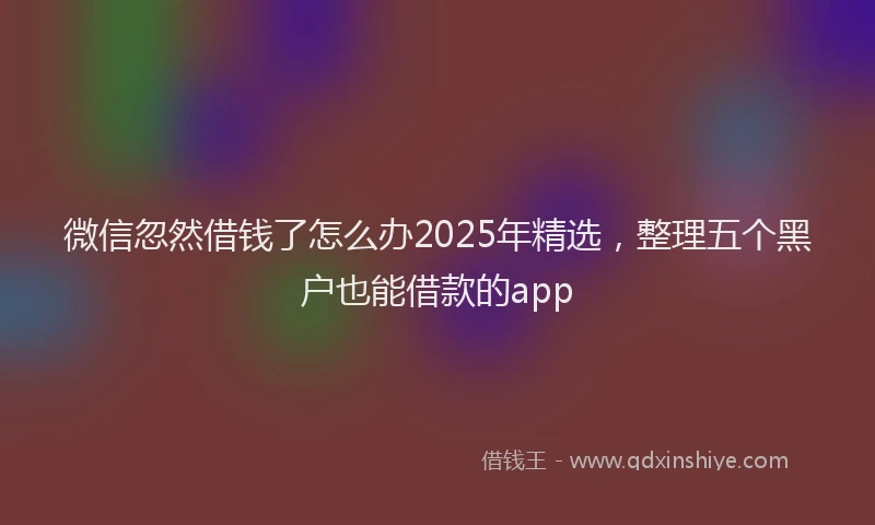 微信忽然借钱了怎么办2025年精选，整理五个黑户也能借款的app
