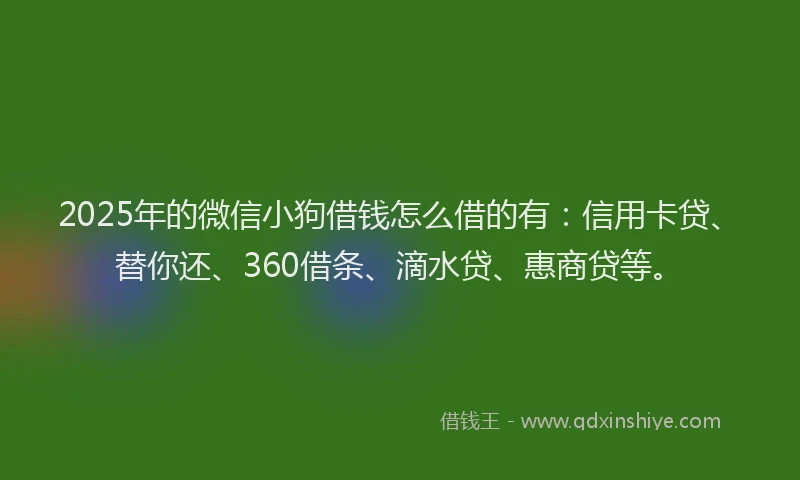 2025年的微信小狗借钱怎么借的有:信用卡贷、替你还、360借条、滴水贷、惠商贷等。