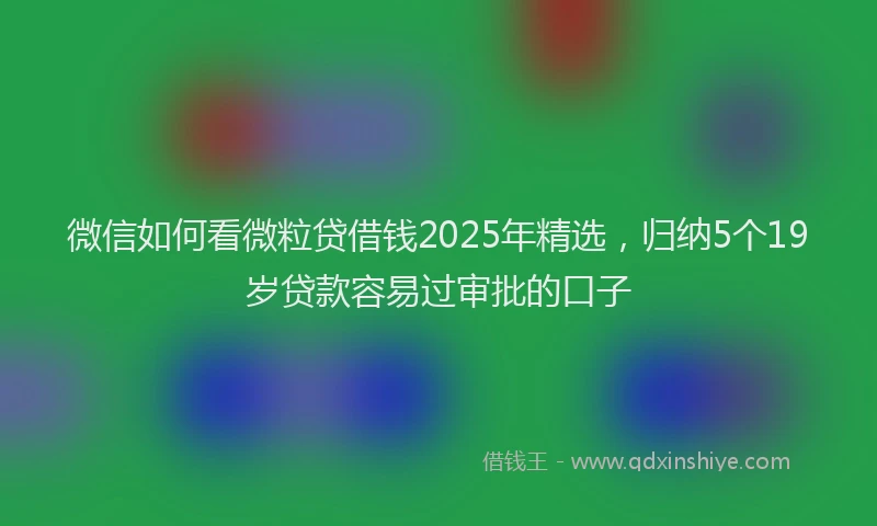 微信如何看微粒贷借钱2025年精选，归纳5个19岁贷款容易过审批的口子
