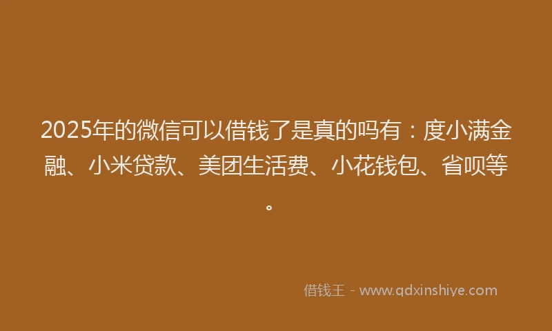 2025年的微信可以借钱了是真的吗有:度小满金融、小米贷款、美团生活费、小花钱包、省呗等。