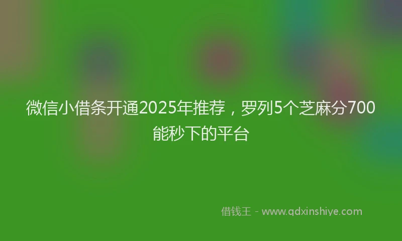 微信小借条开通2025年推荐，罗列5个芝麻分700能秒下的平台