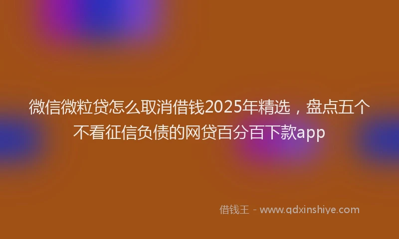 微信微粒贷怎么取消借钱2025年精选，盘点五个不看征信负债的网贷百分百下款app