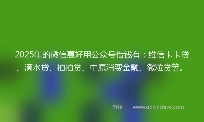 2025年的微信惠好用公众号借钱有：维信卡卡贷、滴水贷、拍拍贷、中原消费金融、微粒贷等。