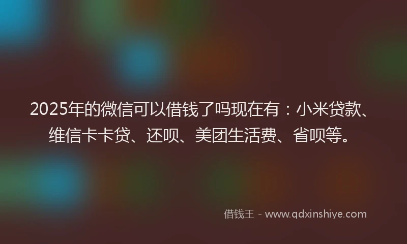 2025年的微信可以借钱了吗现在有：小米贷款、维信卡卡贷、还呗、美团生活费、省呗等。