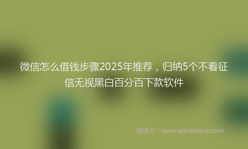 微信怎么借钱步骤2025年推荐，归纳5个不看征信无视黑白百分百下款软件