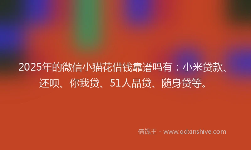2025年的微信小猫花借钱靠谱吗有：小米贷款、还呗、你我贷、51人品贷、随身贷等。