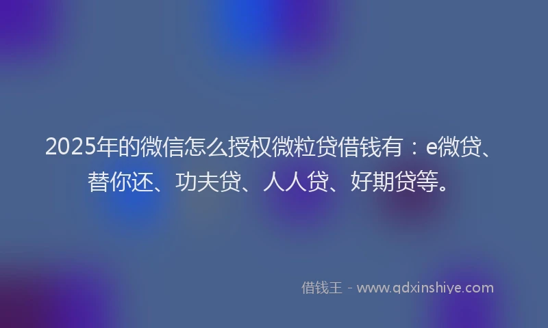 2025年的微信怎么授权微粒贷借钱有：e微贷、替你还、功夫贷、人人贷、好期贷等。