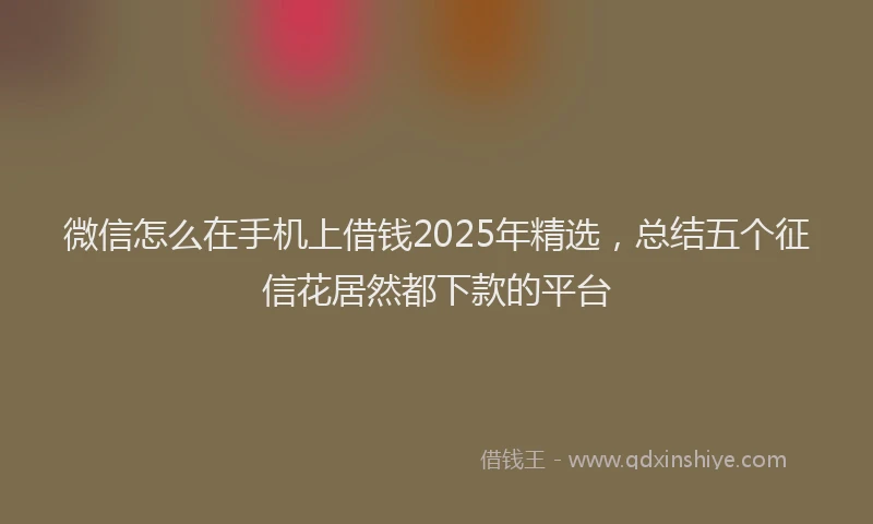 微信怎么在手机上借钱2025年精选，总结五个征信花居然都下款的平台