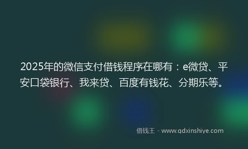 2025年的微信支付借钱程序在哪有：e微贷、平安口袋银行、我来贷、百度有钱花、分期乐等。