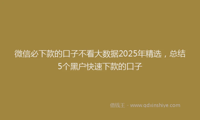微信必下款的口子不看大数据2025年精选，总结5个黑户快速下款的口子
