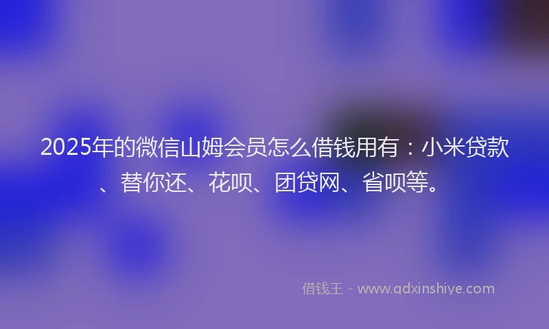2025年的微信山姆会员怎么借钱用有：小米贷款、替你还、花呗、团贷网、省呗等。