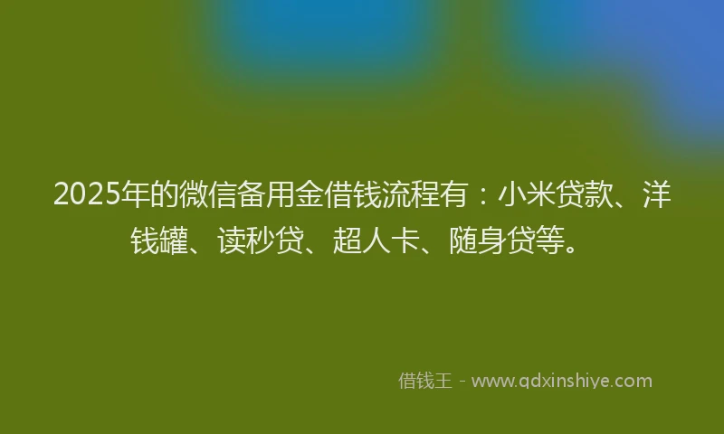2025年的微信备用金借钱流程有：小米贷款、洋钱罐、读秒贷、超人卡、随身贷等。