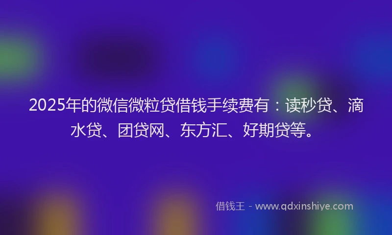 2025年的微信微粒贷借钱手续费有：读秒贷、滴水贷、团贷网、东方汇、好期贷等。