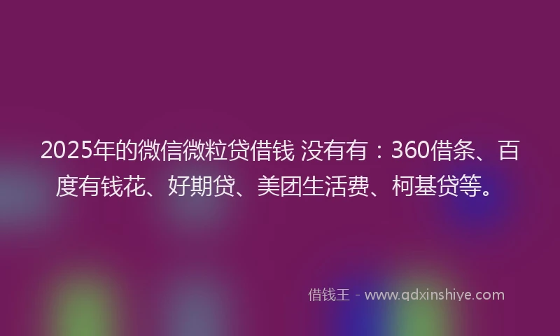 2025年的微信微粒贷借钱 没有有：360借条、百度有钱花、好期贷、美团生活费、柯基贷等。