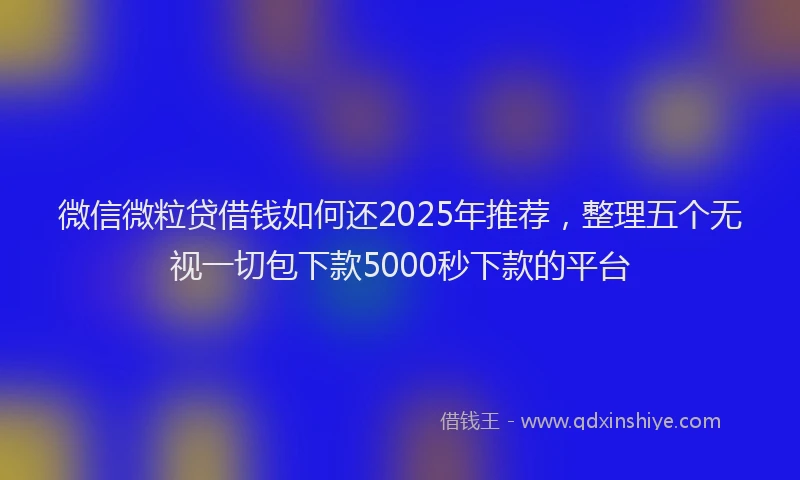 微信微粒贷借钱如何还2025年推荐，整理五个无视一切包下款5000秒下款的平台
