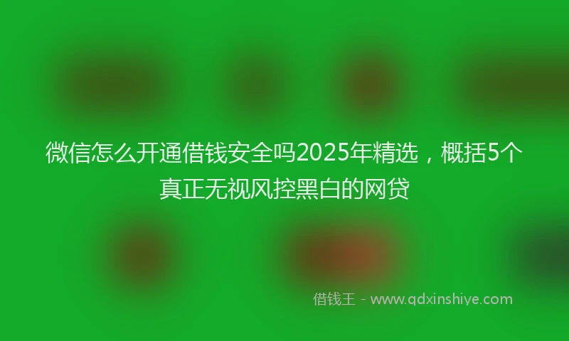 微信怎么开通借钱安全吗2025年精选，概括5个真正无视风控黑白的网贷
